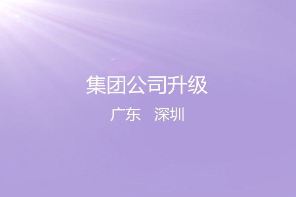 集團公司升級