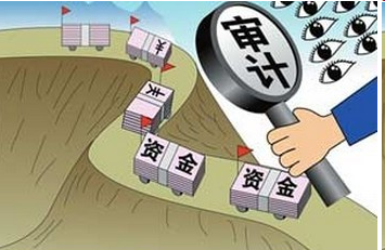 審計(jì)、稅務報(bào)告