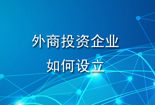 外(wài)資公司注冊