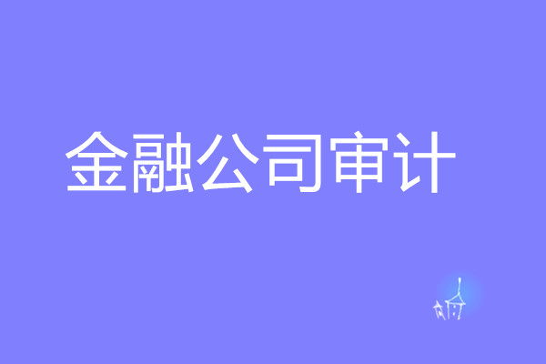 金(jīn)融公司審計(jì)