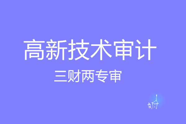 高(gāo)新技(jì)術(shù)審計(jì)