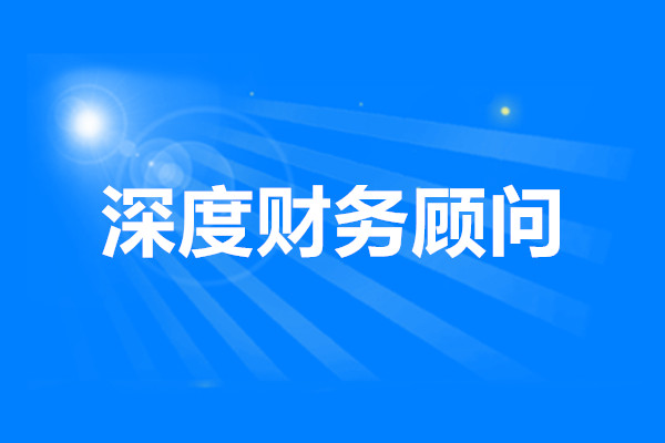 深度财務顧問(wèn)